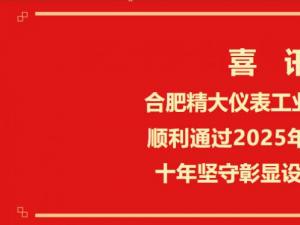 合肥精大儀表工業(yè)設(shè)計(jì)中心順利通過(guò)2025年市級(jí)復(fù)評(píng)十年堅(jiān)守彰顯